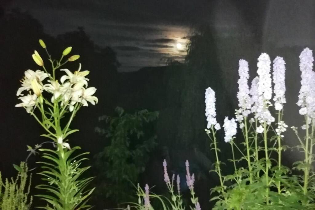 Nachhaltiges Wohnen In Seenaehe Schoemberg  Exterior foto